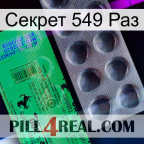 Секрет 549 Раз new04
